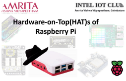 Edge AI and HATs of Raspberry Pi